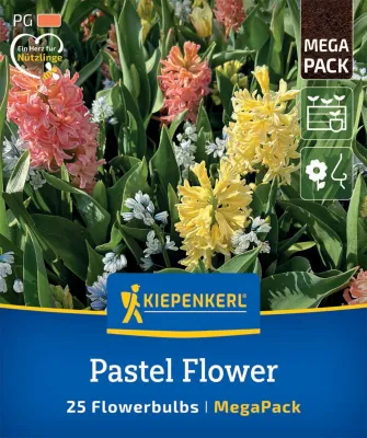 KIEPENKERL Blumenzwiebel Mega Pack 'Pastel Flower', 25 Stück Cover